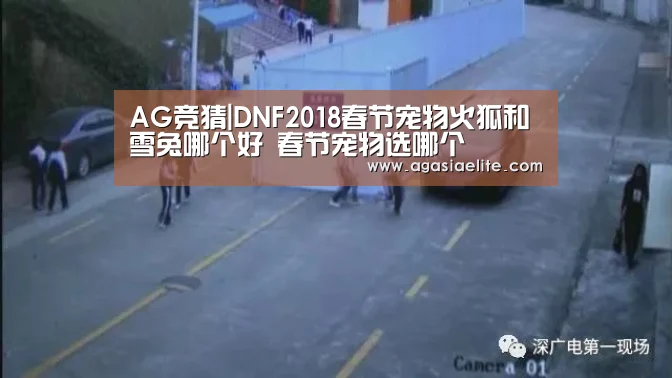 AG竞猜|DNF2018春节宠物火狐和雪兔哪个好 春节宠物选哪个(图2) AG国际厅
