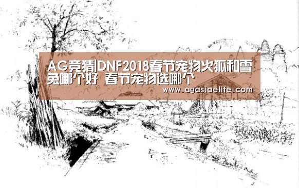 AG竞猜|DNF2018春节宠物火狐和雪兔哪个好 春节宠物选哪个(图1) AG体育