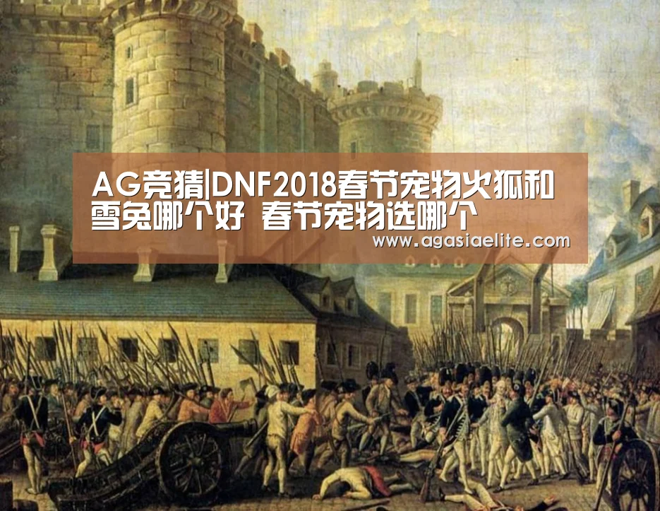AG竞猜|DNF2018春节宠物火狐和雪兔哪个好 春节宠物选哪个(图4) AG国际厅