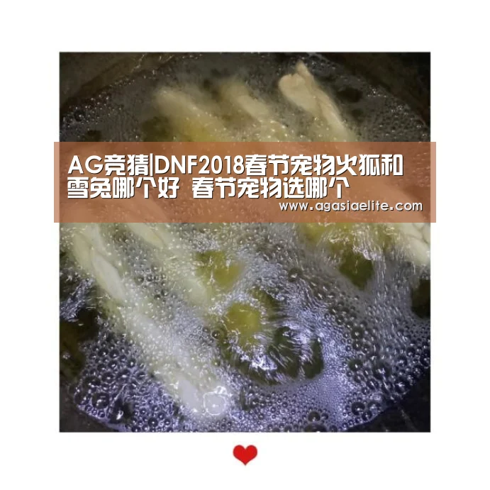 AG竞猜|DNF2018春节宠物火狐和雪兔哪个好 春节宠物选哪个(图3) AG体育