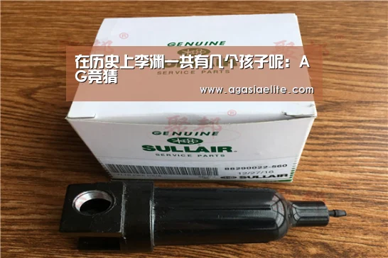 在历史上李渊一共有几个孩子呢:AG竞猜(图3) AG体育