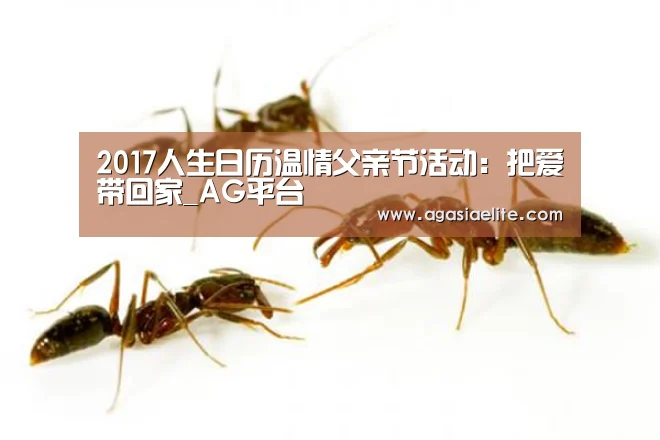 2017人生日历温情父亲节活动:把爱带回家_AG平台(图2) AG平台